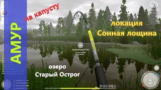 Русская рыбалка 4 - озеро Старый Острог - Амур на капусту