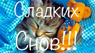 ❣️Спокойной ночи❣️СЛАДКИХ СНОВ❣️красивая открытка на ночь