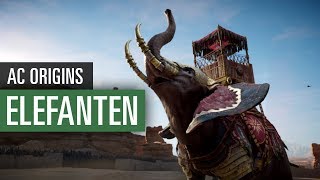 Assassin's Creed Origins: Kriegselefanten-Locations und Walkthrough