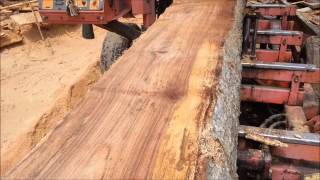 Saw Mill Tips and Identifying Wood