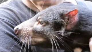 Snake Bytes TV - "Crocodile Dundee....What?"