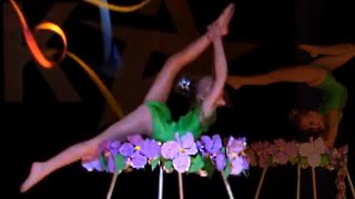 Magic in the circus number performed by the Talent Show Zirka