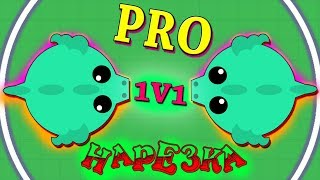 Mope.io 1v1 PRO! How to battle ?