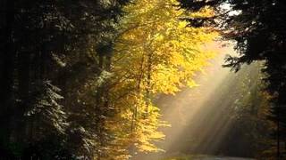 John Williams - Flute Concerto (complete) - Lloyd