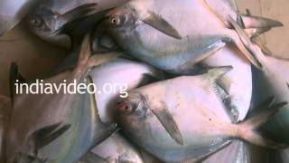 Fish Market  Panaji  Goa