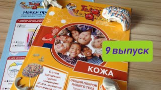 Как устроено тело человека 9 выпуск|Кожа|Журнал|Обзор|Deagostini|Валерия Арт