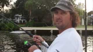 Small Tarpon Fishing Inshore