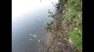 Рыбалка на коропа и карася ! Бешеный клев ! Часть 2 Sport Fishing Херсон