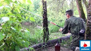 Это глобальное явление убило рыбалку -рыбалка на майского жука