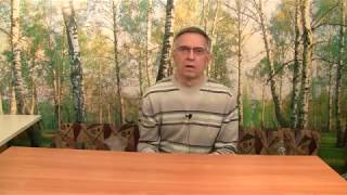Выращивание деревьев из семян. Цикл зима-лето.