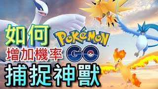 分享《如何有效地增加機率》 捕捉神獸 利基亞，急凍鳥《PokemonGO 香港中文攻略》寵物小精靈 (精靈寶可夢GO)