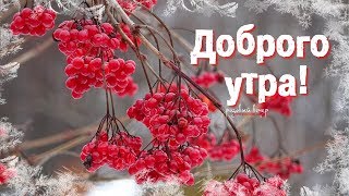 Доброго утра! Хорошего дня!