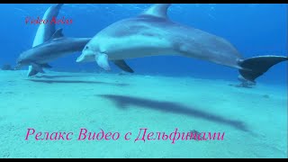 Релакс видео. Video Relax.