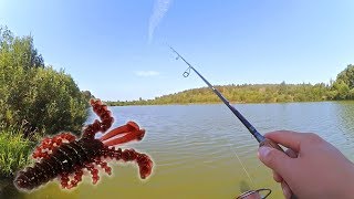 На рачка клюёт, когда на другое перестало! Не то, что бы "спас" рыбалку, но всё же!
