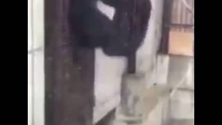 Monkey knocking on the door.