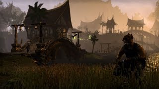 The Elder Scrolls Online Ассасин судья