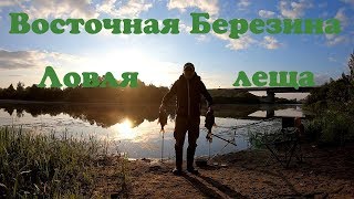 Березина. Ловля на фидер с ночевкой. Ловля леща