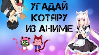 УГАДАЙ АНИМЕ ПЕРСОНАЖА — КОТЫ