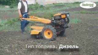 Дизельный мотоблок Кентавр МБ 1070Д, 1080Д в работе