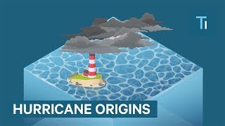 Most hurricanes that hit the US come from the same exact spot in the world
