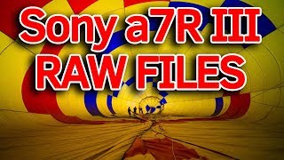 SONY a7R III RAW FILES | Culling & Editing 1270 RAW Images in Adobe Lightroom