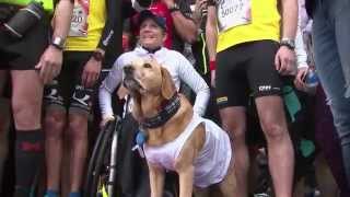 Wings for Life World Run 2015 - Best Moments