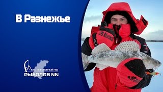 В Разнежье. Рыбалка в Нижегородской области.