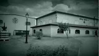 BODEGAS BALBAS, DO RIBERA DEL DUERO - PRESENTACION
