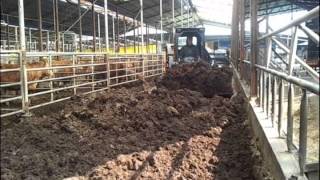 skid steer loader 350EX