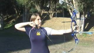 Archery and Engineering