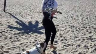 Coco - Coney Island Shark Attack