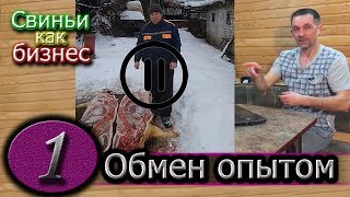 СВИНЬЯ 140КГ МЯСА В 8,5 МЕСЯЦЕВ