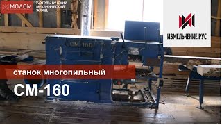 Обработка деловой древесины| Станок многопильный| СМ-160