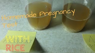 Homemade Pregnancy Test With Rice | DIY Pregnancy Test