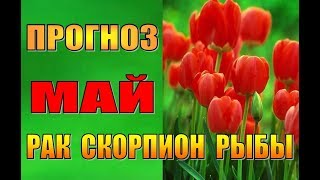 Таро прогноз (гороскоп) на  МАЙ  РАК, СКОРПИОН, РЫБЫ