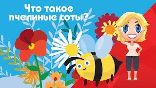 Что такое мед? Что такое пчелиные соты? - Развивающие мультфильмы Познавака (29 серия, 1 сезон)