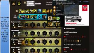 GW2 Ranger Build for Leveling