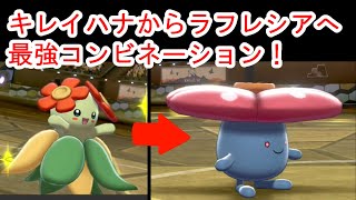 【ポケモン剣盾】#9 キレイハナとラフレシアの最強コンビネーション！キレイハナで誰でも起点に！【ゆっくり実況】
