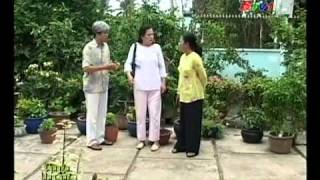 Luật sư 24h. Tư vấn thành lập công ty GPKD khách sạn