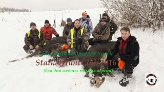 Загонная охота на лосей Stalkerсlub 2016  полная версия