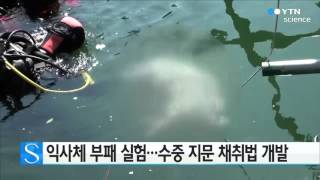 처음으로 익사체 부패 실험...수중 지문 채취법 개발 / YTN 사이언스