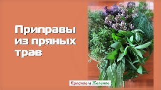 Приправы из пряных трав делаем сами