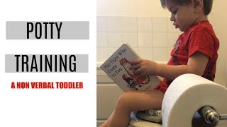 HOW I POTTY TRAINED MY NON-VERBAL TODDLER | HOW TO POTTY TRAIN