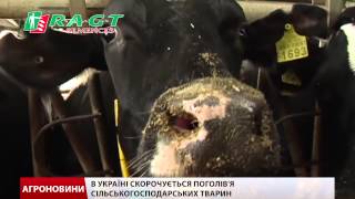 В Україні занепадає сільське господарство