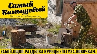 Забой, ощип, разделка Курицы/Петуха. Для Новичков.