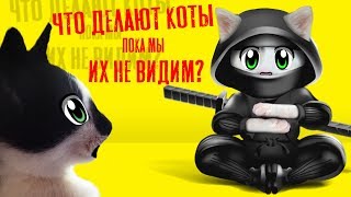 24 ЧАСА с КОТАМИ ЧЕЛЛЕНДЖ! Что делают МУРКА и БАФФИ в 3 ЧАСА НОЧИ
