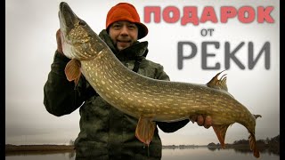 ТРОФЕЙНАЯ ЩУКА ЗИМОЙ! Подарок на Н.Г.!