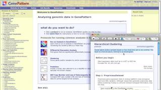 Using GenePattern Protocols