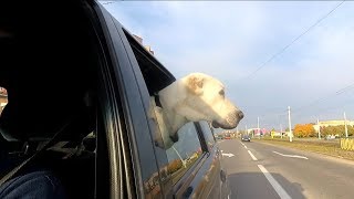 Немного новостей