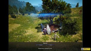 Black Desert: квест Что в кувшине?